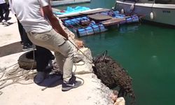 Diyarbakır’ın içme suyu havzasından çıkanlar şaşırttı!