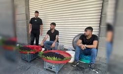 Diyarbakır’ın şifa kaynağı tezgahlardaki yerini aldı
