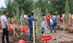 Erdoğan talimat verdi, Diyarbakır'da hayata geçti