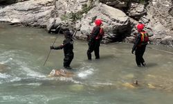 Hakkari'de ekipler kayıp İbrahim için seferber oldu