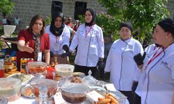 Hakkari’de 2. Yöresel Lezzetler Festivali