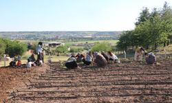 Diyarbakır’da kadınlar “Komün Bostanı” kurdu