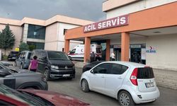 Iğdır'da 73 yaşındaki kişi iki yengesini öldürdü