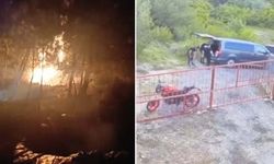 Define ararken ormanı yaktıklar!