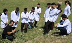 Diyarbakır’da yeni ilaç arayışı: 2 bin bitki analiz edildi