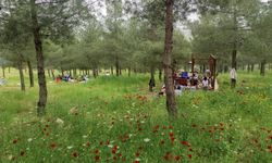 Komşudaki güzellik Diyarbakır’a göz kırpıyor