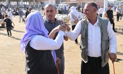 Kurban Bayramı öncesi sıkı pazarlık başladı