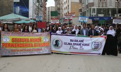 Diyarbakır, Van ve Hakkari'de eylem: Kürtçe resmi dil olsun