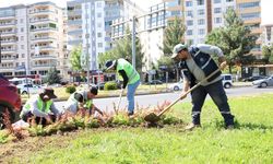 Mahabad Bulvarında peyzaj çalışmaları