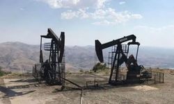 Diyarbakır’ın 2 ilçesinde petrol arama ve çıkarmaya karşı açılan dava görüldü
