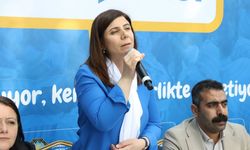 Serra Bucak açıkladı: Diyarbakır'daki 'mangal dumanı' sorunu böyle çözülecek!