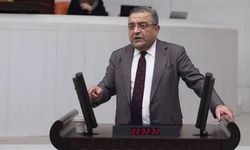 Sezgin Tanrıkulu'ndan 1 Mayıs açıklaması