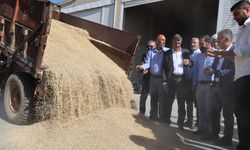 Sezonun ilk arpa hasadı yapıldı