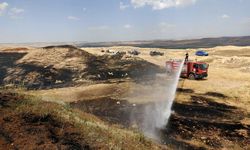 Siirt'te yangın felaketi, buğday tarlaları kül oldu
