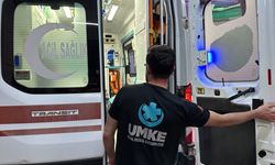 Sokak köpeği dehşet saçtı