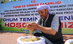 Diyarbakır'daki çiftçilere tonlarca sertifikalı tohum desteği