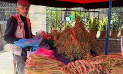 Diyarbakır’da bulunması en zor şifalı bitki şimdi tezgahlarda
