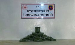 Diyarbakır Lice'de esrar operasyonu