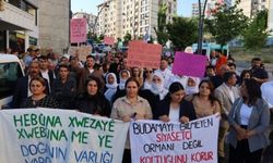 Şırnak’ta doğa talanına karşı yürüyüş!