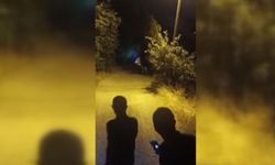 Zincirlerini koparan boğa ortalığı birbirine kattı!
