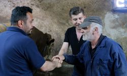 1 ton 200 kiloluk tosun servet değerinde fiyata satıldı