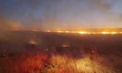 Diyarbakır Büyükşehir’den önemli uyarı!
