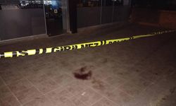 24 yaşındaki kadının şüpheli ölümü!
