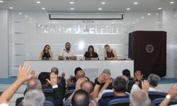 İstifa eden DEM Partili başkanın yerine Başkanvekili seçildi