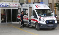 Van’da 144 'acemi kasap' hastanelik oldu