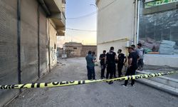 Şanlıurfa’daki cinayete 3 tutuklama