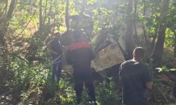 Adıyaman'da kamyonet şarampole devrildi: 2ölü