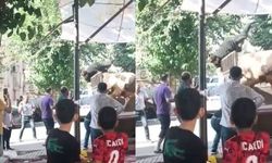 Kurbanlık kızgın boğa kasaba hayatının kabusunu yaşattı