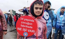 Çocuk işçiliğinde ağır tablo: 770 çocuk yaşamını yitirdi