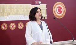 DEM’li vekilden Narin’in ailesine: Yalnız bırakmayacağız