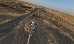 Diyarbakır'da leylekler yuvalarına döndü