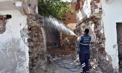 Diyarbakır’da metruk yapılarda ilaçlama