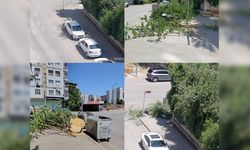 Ekspres gündeme getirdi, belediye harekete geçti