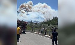 İzmir’de büyük orman yangını