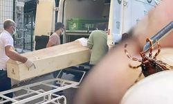 Keneden ölü sayısı 6'ya yükseldi!