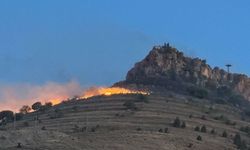 Mardin'de tarihi kale eteklerinde çıkan yangın kontrol altına alındı