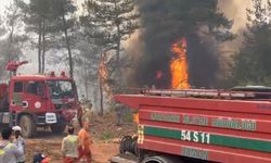 Sakarya’daki yangınla ilgili 3 kişi gözaltına alındı