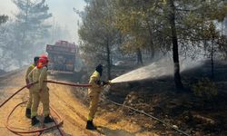 Sakarya'daki orman yangını Osmaneli'ne de sıçradı