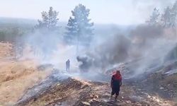 Sigara izmariti faciası
