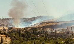 Silopi'de anız yangını, 15 dönümü sardı