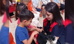 Minik öğrencilere keçi sağımı eğitimi
