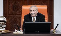 DEM Parti, Sırrı Süreyya Önder’in yerine Meclis Başkanvekilini belirledi