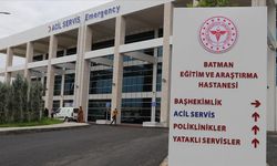 Otomobilin çarptığı yaya yaşamını yitirdi