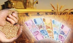 TMO 2025 hububat alım fiyatlarını açıkladı