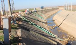 Dicle Elektrik’ten uyarı: Gerekirse kablolar toplanacak