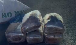 Salça paketlerine gizlenmiş uyuşturucu ele geçirildi